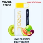 Vozol Star 12000 Blueberry Storm Disposable vape