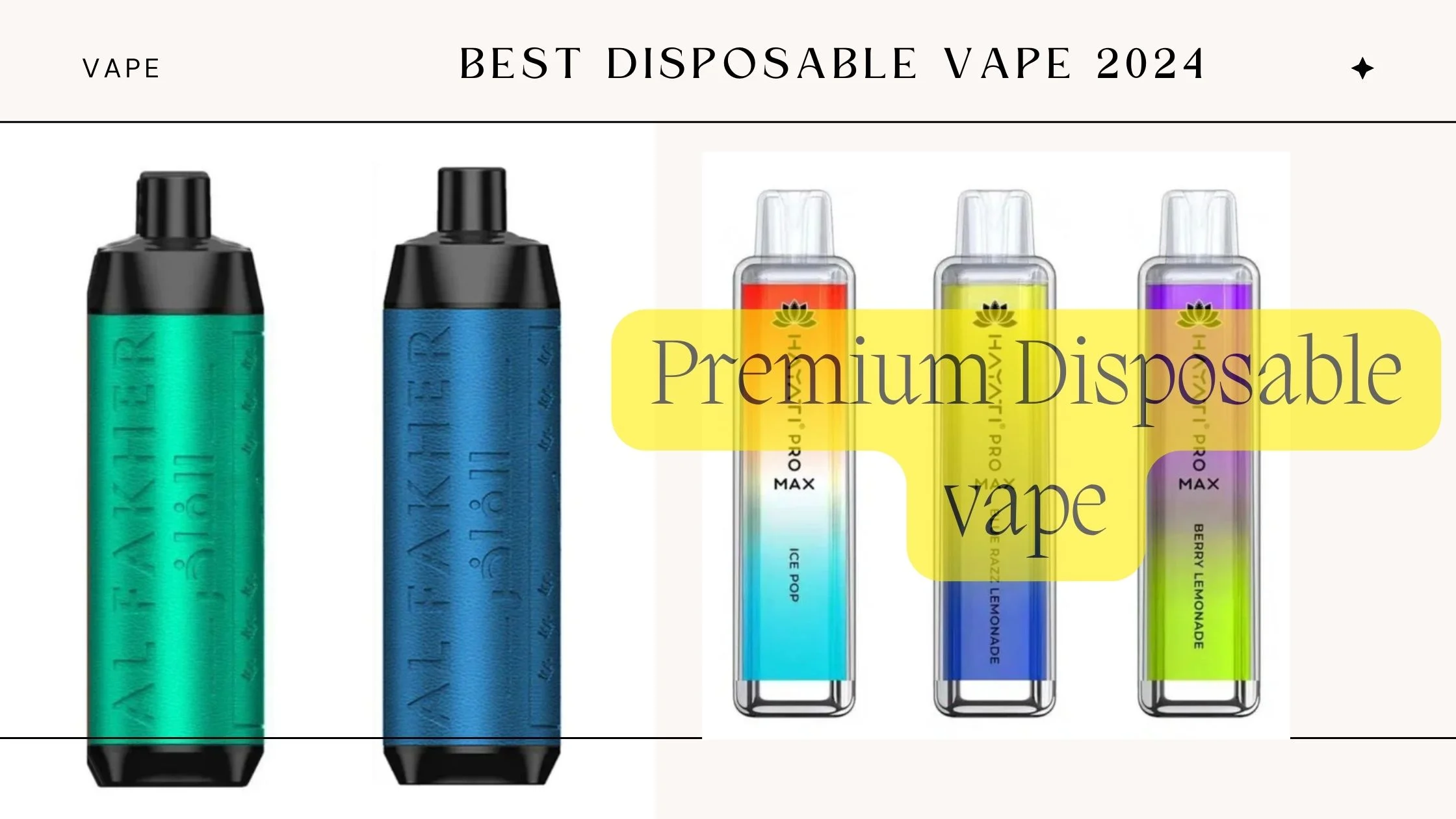 Best Disposable Vape 2024