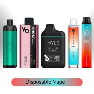 Disposable Vape icon